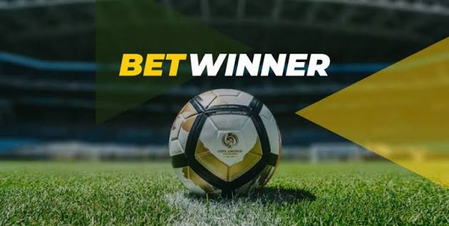 Everything You Need to Know About BetWinner Bonus Details Everything You Need to Know About BetWinner Bonus Details